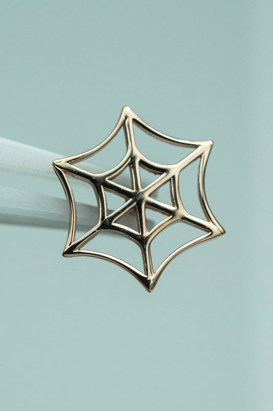 Spiderweb BVLA